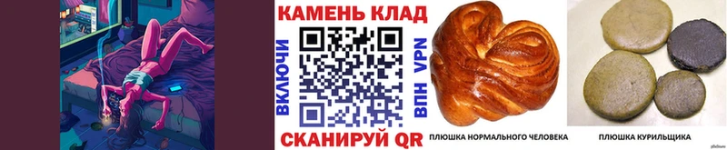 ГАШ ice o lator Шахунья