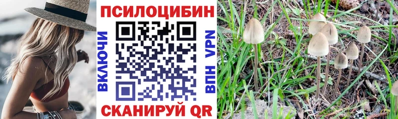 Псилоцибиновые грибы мухоморы даркнет сайт маркетплейс официальный сайт Шахунья